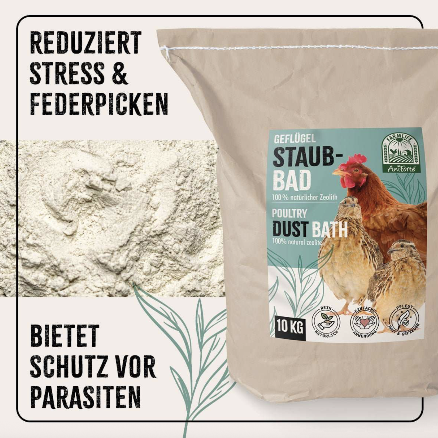 Screenshot 2026-02-03 at 9.37.09